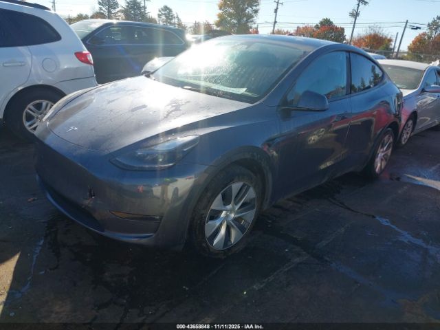 2023 TESLA MODEL Y 7SAYGDED8PF943012 Photo 1