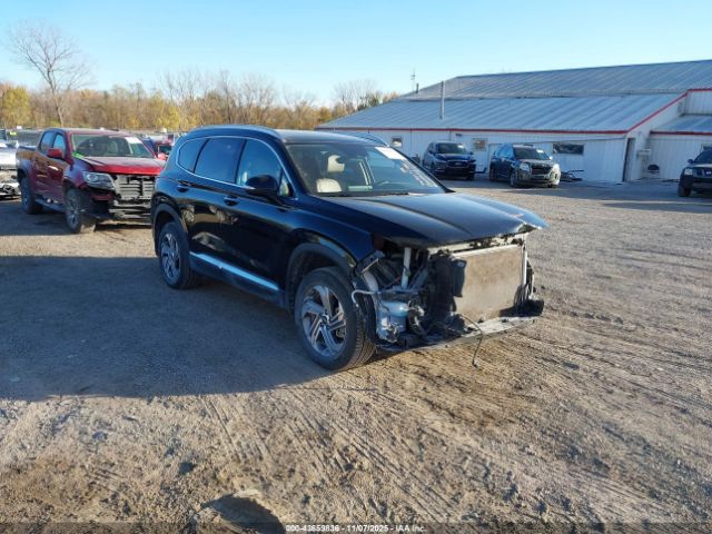 2023 HYUNDAI SANTA FE 5NMS3DAJ5PH528528