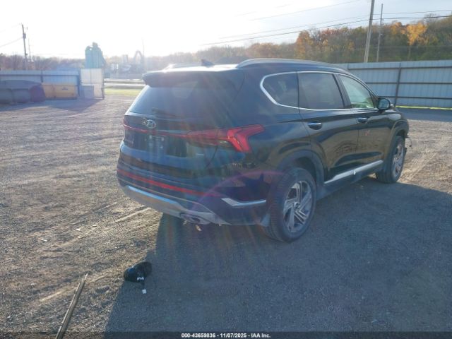 2023 HYUNDAI SANTA FE 5NMS3DAJ5PH528528 Photo 3