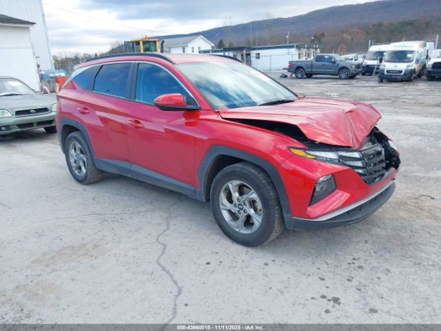 2023 HYUNDAI TUCSON 5NMJBCAE6PH186762
