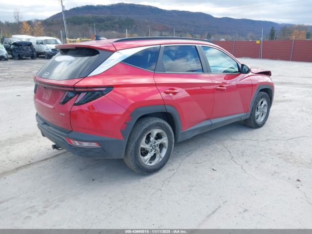 2023 HYUNDAI TUCSON 5NMJBCAE6PH186762 Photo 3