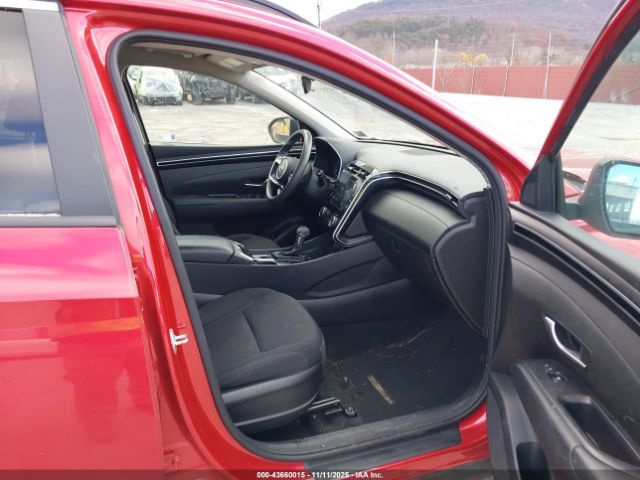 2023 HYUNDAI TUCSON 5NMJBCAE6PH186762 Photo 4