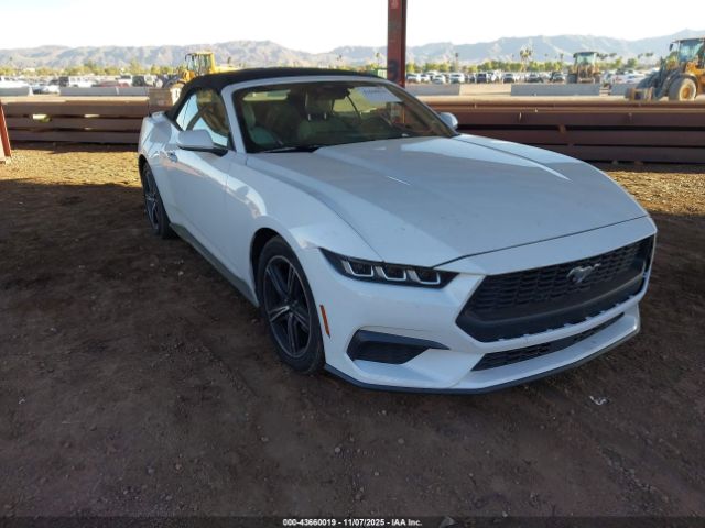 2024 FORD MUSTANG 1FAGP8UH4R5132645