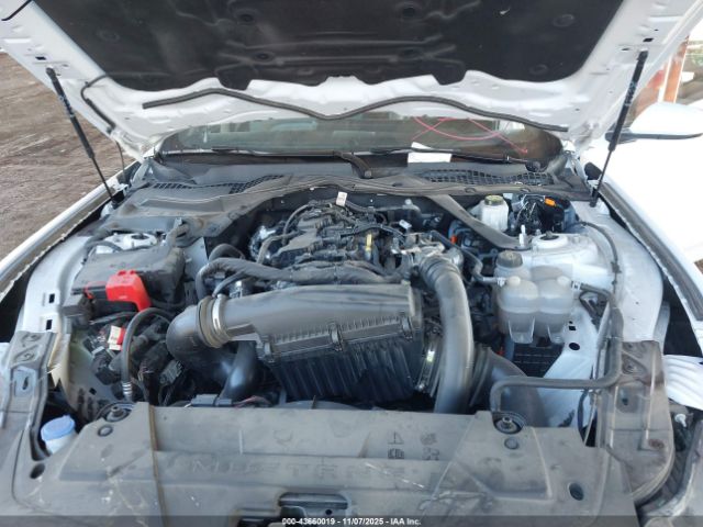 2024 FORD MUSTANG 1FAGP8UH4R5132645 Photo 9