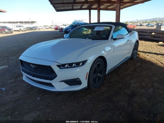 2024 FORD MUSTANG 1FAGP8UH4R5132645 Photo 1