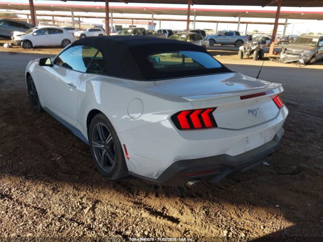 2024 FORD MUSTANG 1FAGP8UH4R5132645 Photo 2