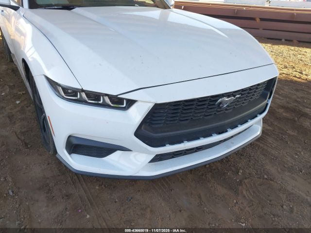 2024 FORD MUSTANG 1FAGP8UH4R5132645 Photo 5