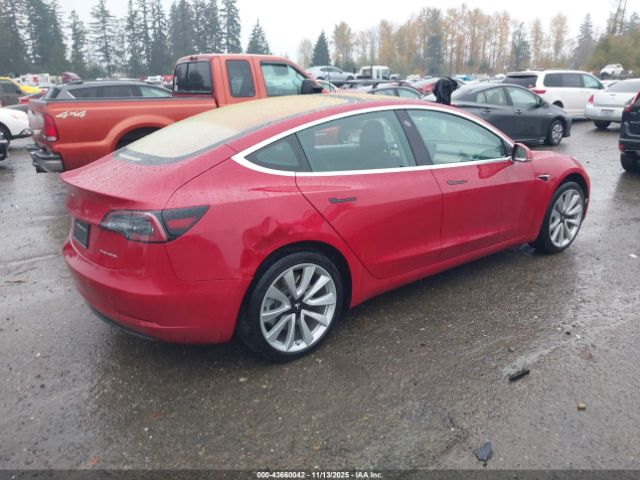 2019 TESLA MODEL 3 5YJ3E1EB6KF194469 Photo 3
