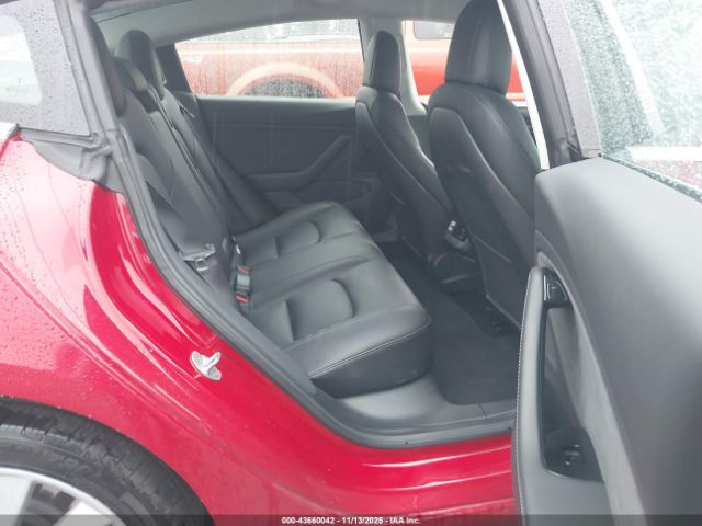 2019 TESLA MODEL 3 5YJ3E1EB6KF194469 Photo 7