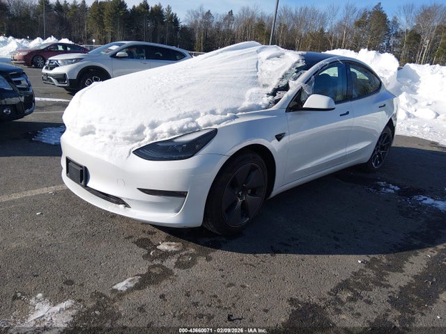 2023 TESLA MODEL 3 5YJ3E1EA5PF570674 Photo 1