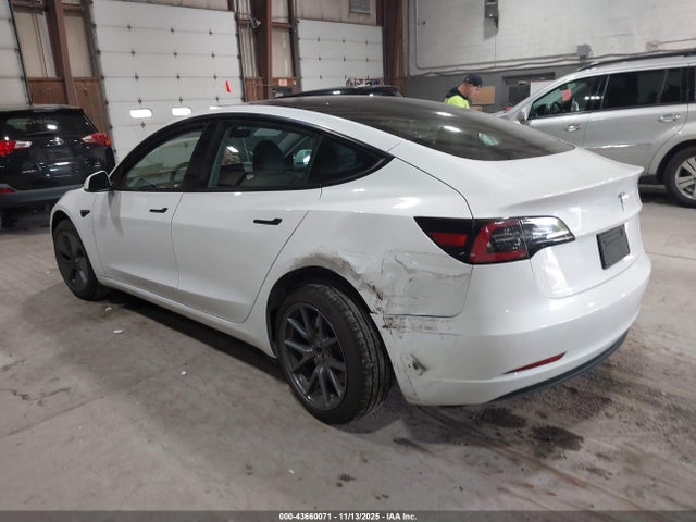 2023 TESLA MODEL 3 5YJ3E1EA5PF570674 Photo 2