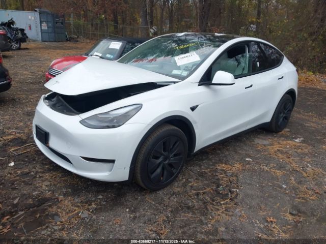 2024 TESLA MODEL Y 7SAYGDED0RF150158 Photo 1