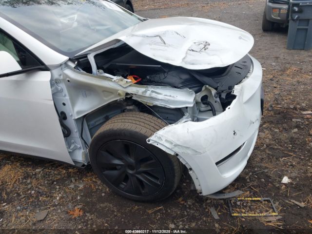 2024 TESLA MODEL Y 7SAYGDED0RF150158 Photo 5