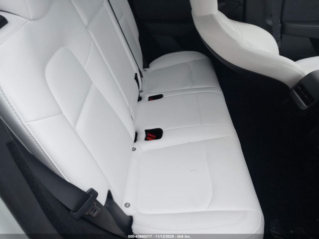2024 TESLA MODEL Y 7SAYGDED0RF150158 Photo 7