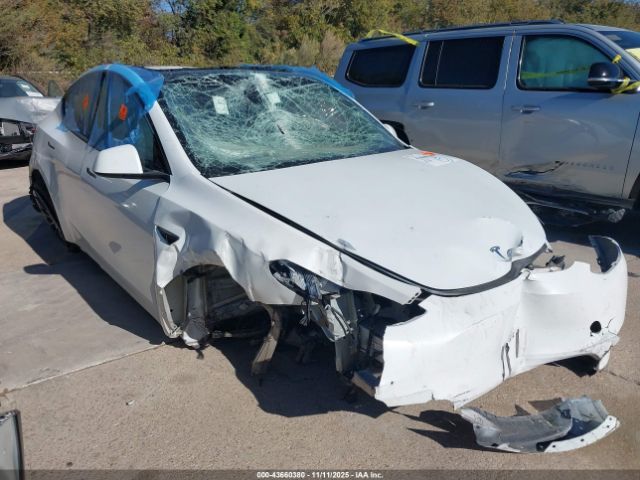 2023 TESLA MODEL Y 7SAYGDEEXPA044500 Photo 0