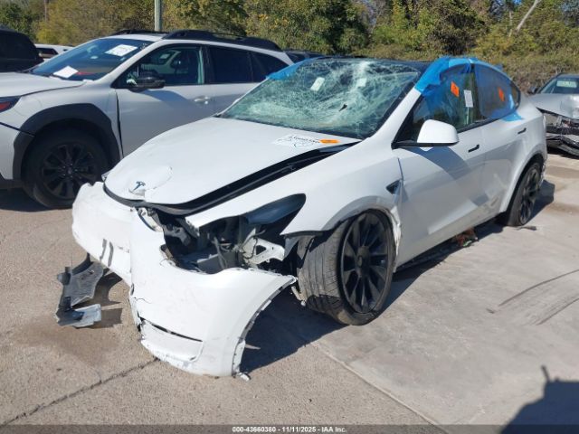 2023 TESLA MODEL Y 7SAYGDEEXPA044500 Photo 1