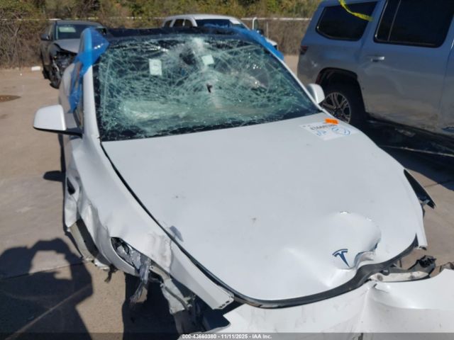 2023 TESLA MODEL Y 7SAYGDEEXPA044500 Photo 5