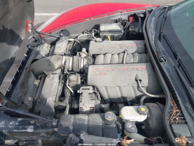 2005 CHEVROLET CORVETTE 1G1YY24U255119756 Photo 9