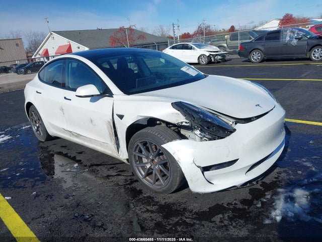 2023 TESLA MODEL 3 5YJ3E1EA6PF548599 Photo 0