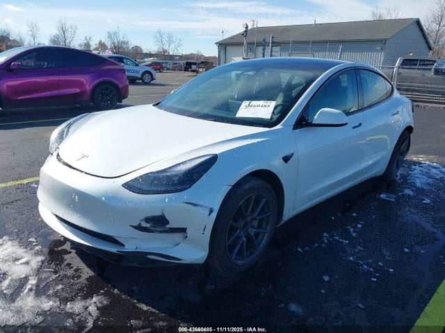 2023 TESLA MODEL 3 5YJ3E1EA6PF548599 Photo 1