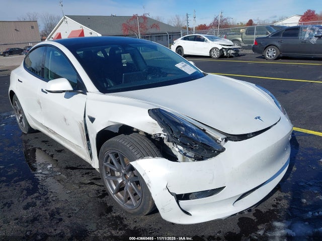 2023 TESLA MODEL 3 5YJ3E1EA6PF548599 Photo 5