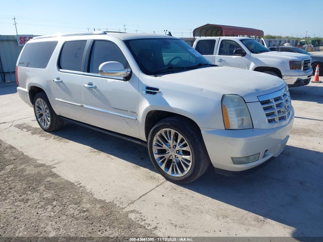 2010 CADILLAC ESCALADE ESV 1GYUKJEF3AR160167 Photo 0