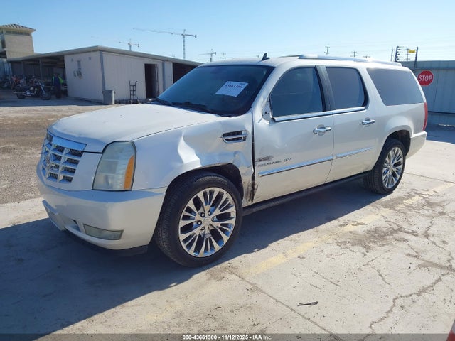 2010 CADILLAC ESCALADE ESV 1GYUKJEF3AR160167 Photo 1