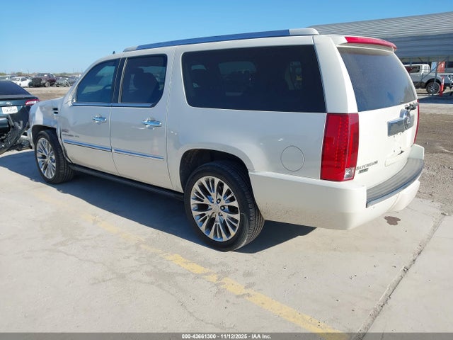 2010 CADILLAC ESCALADE ESV 1GYUKJEF3AR160167 Photo 2