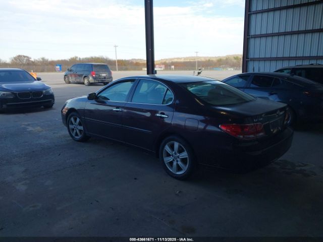 2006 LEXUS ES 330 JTHBA30G965163342 Photo 2