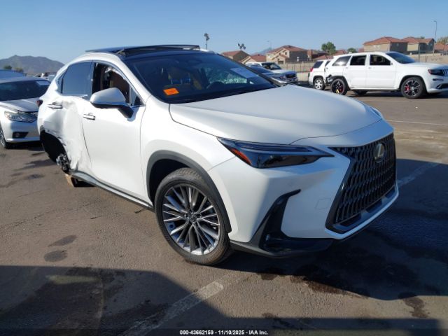 2024 LEXUS NX 350 JTJHGCEZ0R2012039