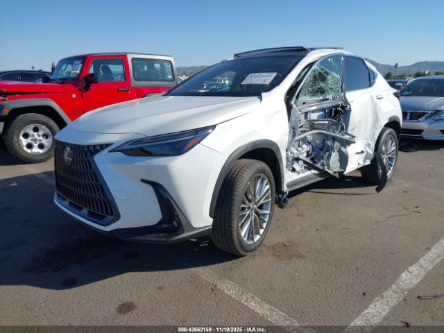 2024 LEXUS NX 350 JTJHGCEZ0R2012039 Photo 1