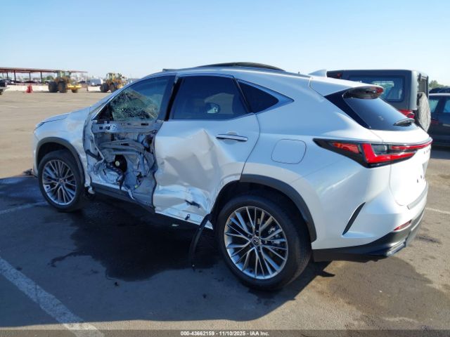 2024 LEXUS NX 350 JTJHGCEZ0R2012039 Photo 5