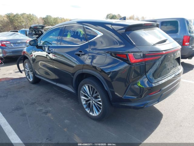 2022 LEXUS NX 350H 2T2GKCEZ7NC005089 Photo 2