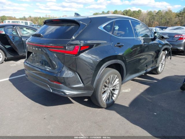2022 LEXUS NX 350H 2T2GKCEZ7NC005089 Photo 3
