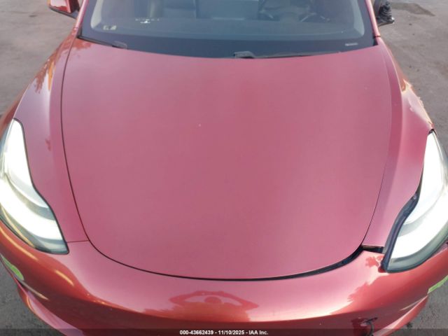 2019 TESLA MODEL 3 5YJ3E1EB6KF387284 Photo 9
