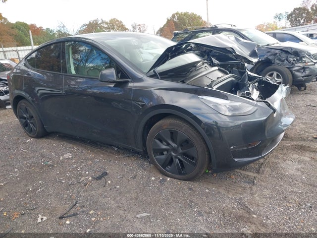 2025 TESLA MODEL Y 7SAYGDEE8SF299948 Photo 0
