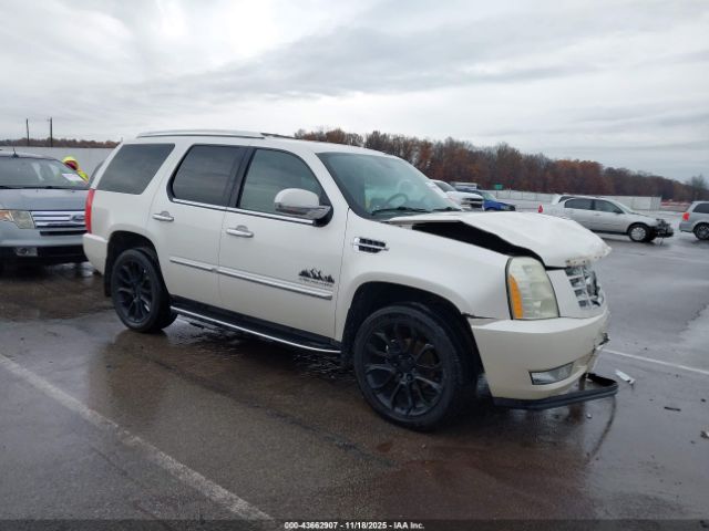 2011 CADILLAC ESCALADE 1GYS4AEF3BR373123