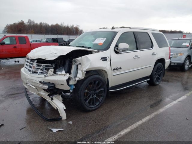 2011 CADILLAC ESCALADE 1GYS4AEF3BR373123 Photo 1