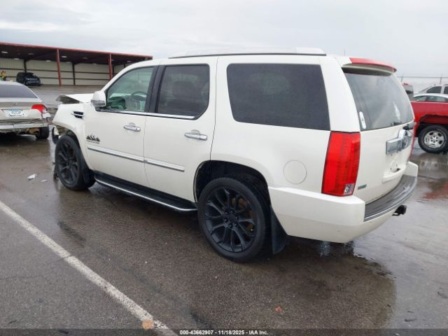 2011 CADILLAC ESCALADE 1GYS4AEF3BR373123 Photo 2