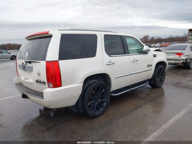 2011 CADILLAC ESCALADE 1GYS4AEF3BR373123 Photo 3