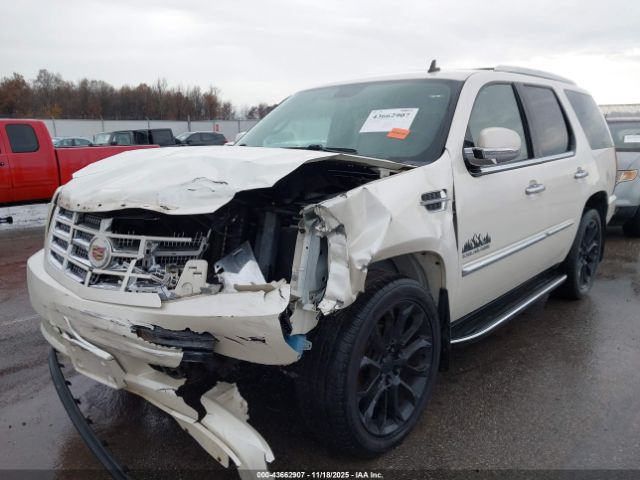 2011 CADILLAC ESCALADE 1GYS4AEF3BR373123 Photo 5