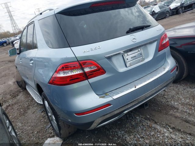 2015 MERCEDES-BENZ ML 350 4JGDA5HB2FA459918 Photo 2