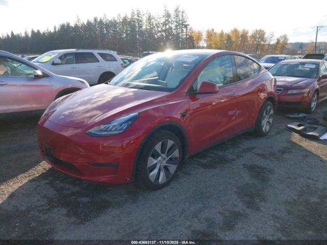 2023 TESLA MODEL Y 7SAYGDEE5PF604605 Photo 1