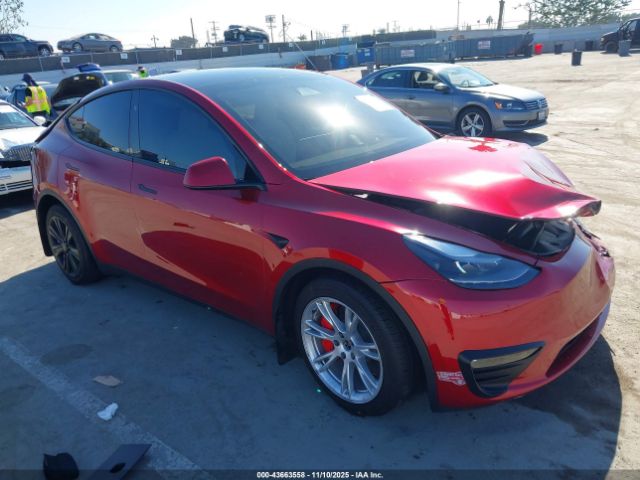 2024 TESLA MODEL Y 7SAYGDEE6RF064717 Photo 0