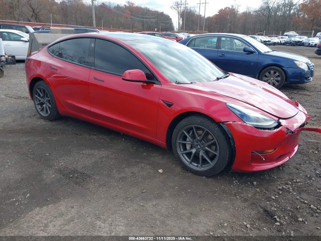 2021 TESLA MODEL 3 5YJ3E1EA1MF919356 Photo 0