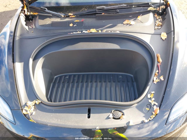 2025 TESLA MODEL 3 5YJ3E1EA3SF062602 Photo 9