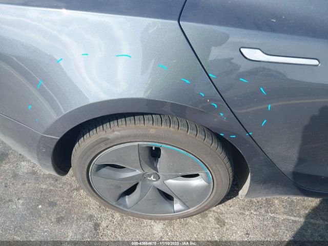 2020 TESLA MODEL 3 5YJ3E1EA8LF634555 Photo 5