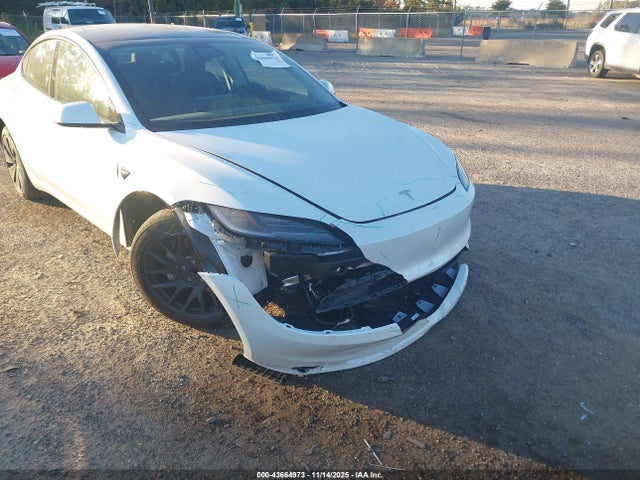 2025 TESLA MODEL 3 5YJ3E1EA3SF073311 Photo 5