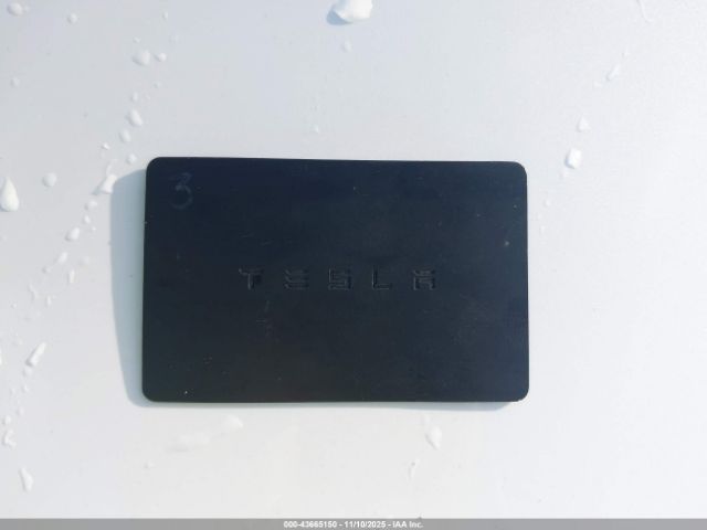 2019 TESLA MODEL 3 5YJ3E1EB4KF211771 Photo 10