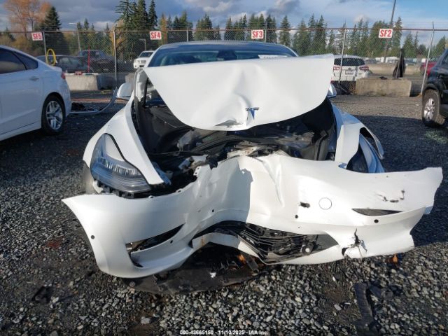 2019 TESLA MODEL 3 5YJ3E1EB4KF211771 Photo 5